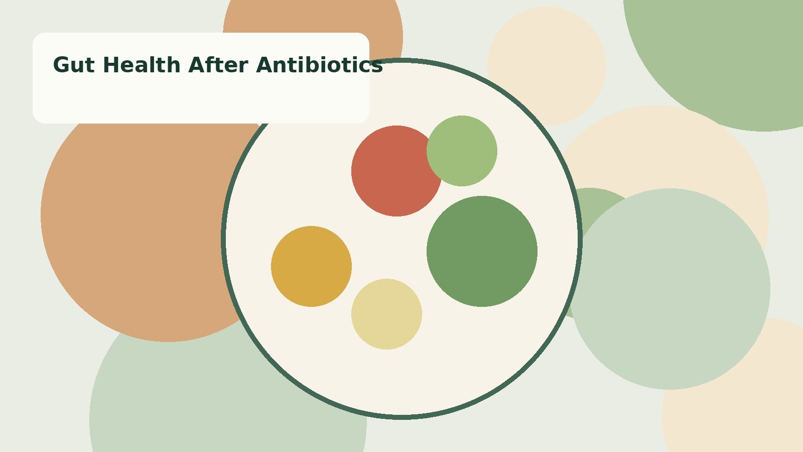 Illustrative health article visual for after-antibiotics questions