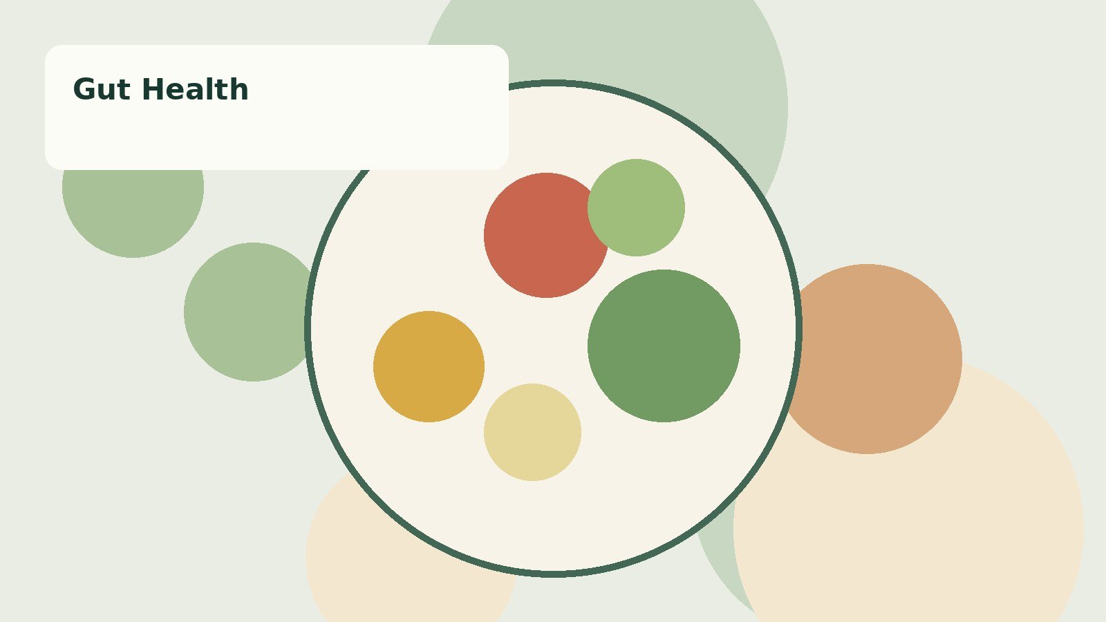 Illustration for Gut Health Guide